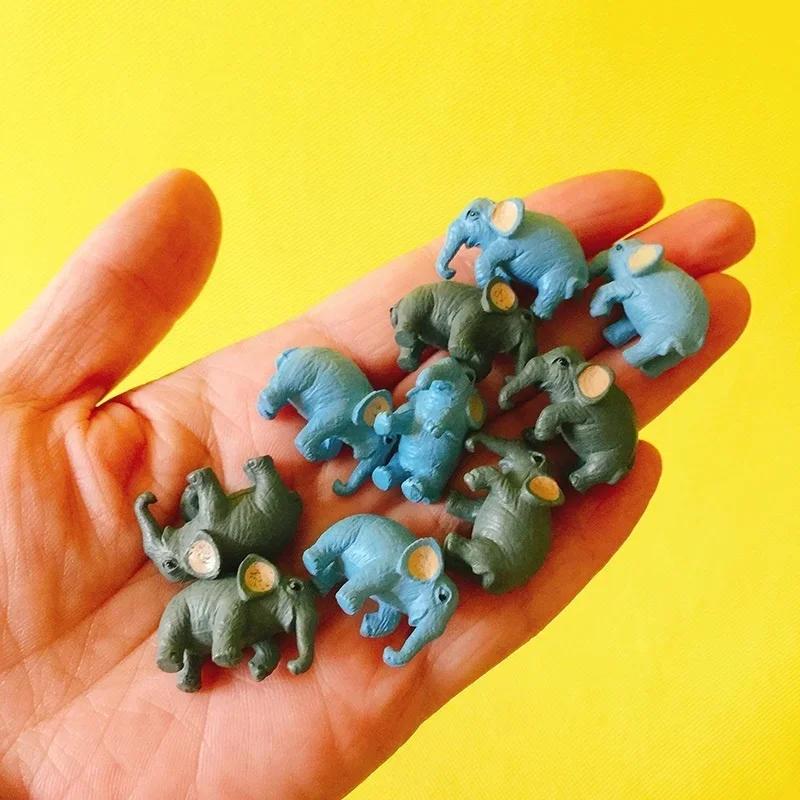 5 Pcs/set Miniatures Animals E - Office Furniture Hon recension och pris
