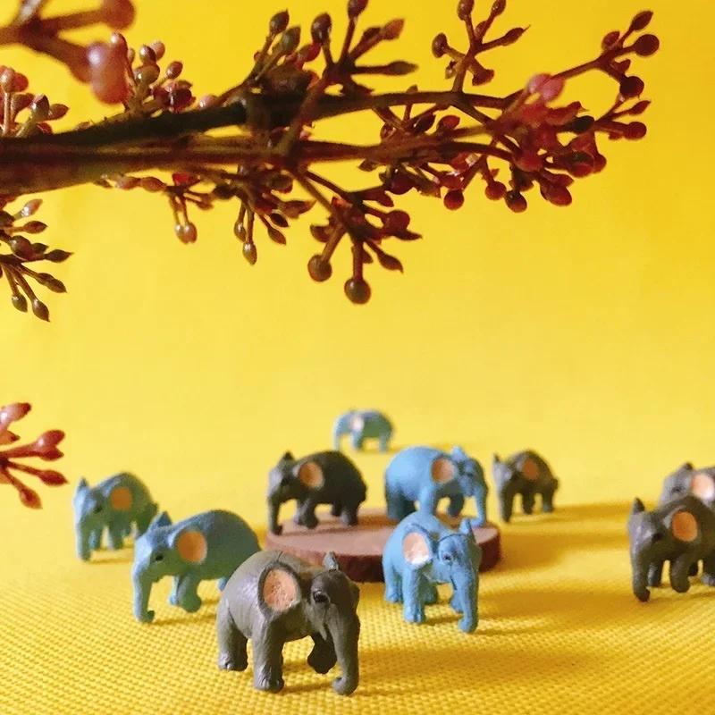 5 Pcs/set Miniatures Animals E - Office Furniture Hon recension och pris