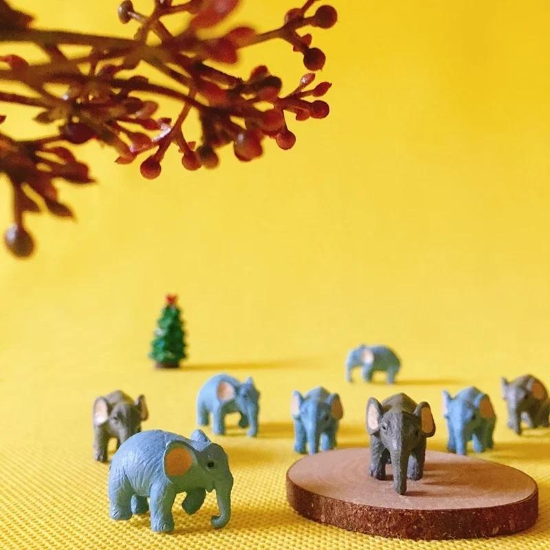 5 Pcs/set Miniatures Animals E - Office Furniture Hon recension och pris